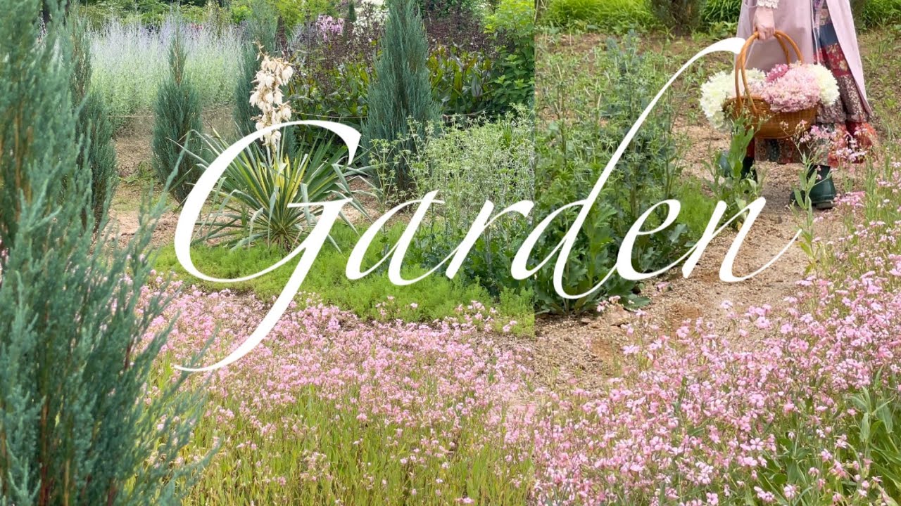 [Garden] 봄부터 꾸미고 기다린 여름 정원이 펼쳐졌어요! | 여름꽃, 초화류, 가드닝