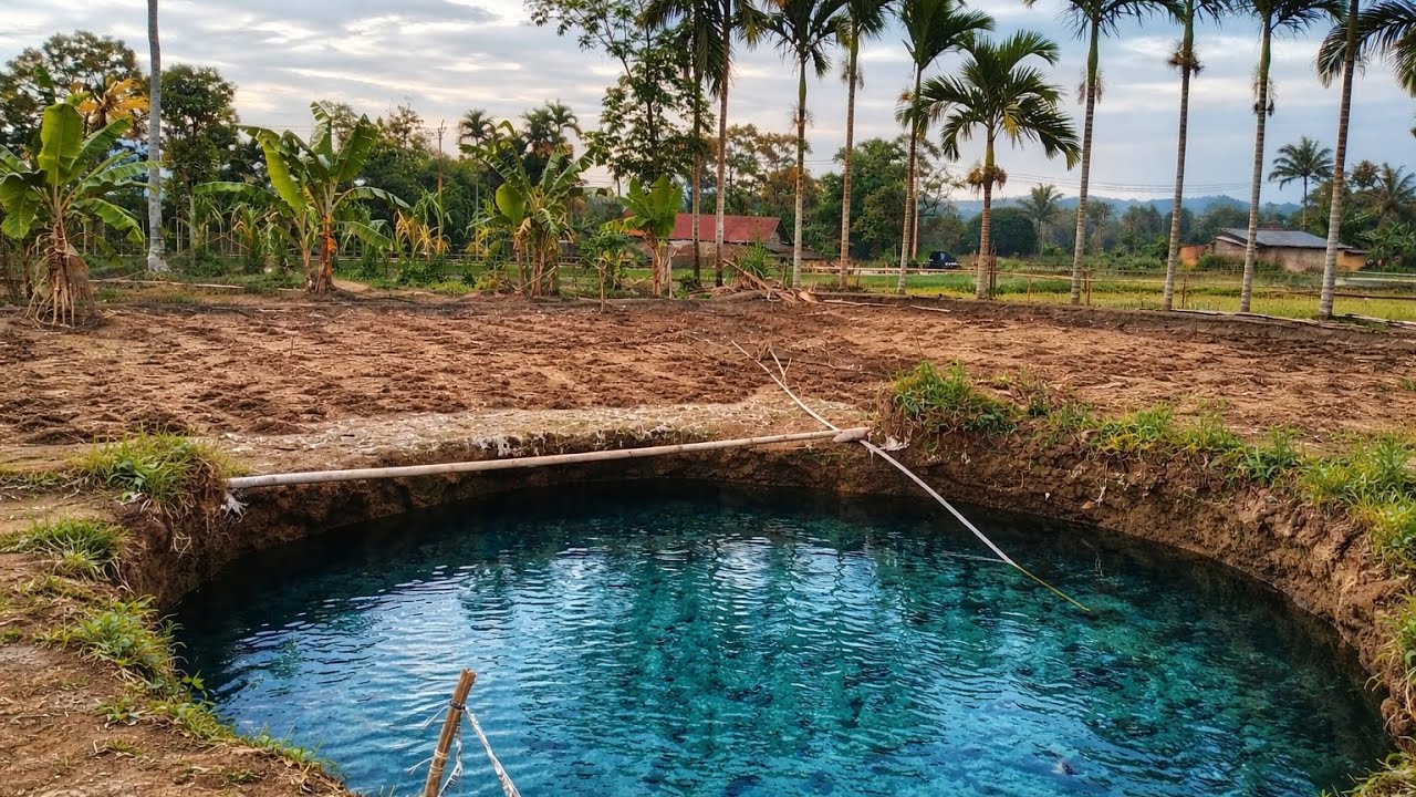 GEGER‼️ADA APA? SINKHOLE VIRAL DI SITUJUAH BATUA MENDADAK MENYUSUT AIRNYA DAN SAWAH SAWAH MENGERING