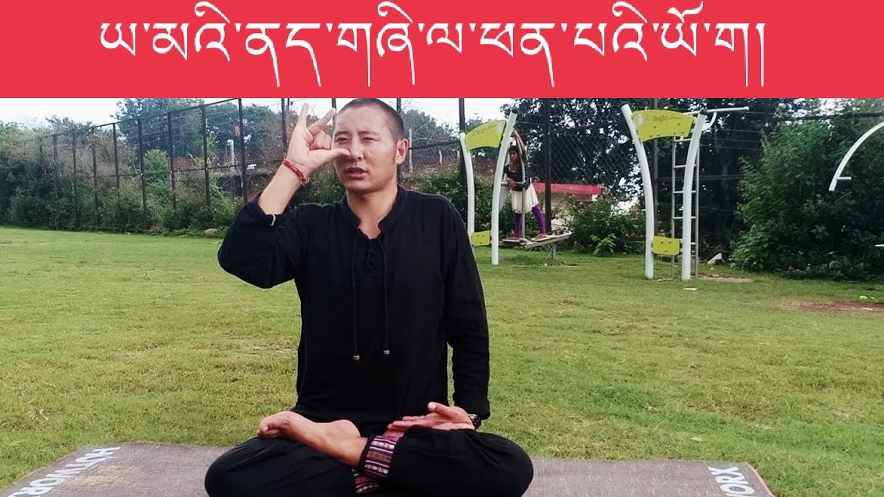 ཡ་མའི་ནད་གཞིའི་རིགས་བཅོས་ཐབས་ཀྱི་ལུས་སྦྱོང་དང་དབུགས་སྦྱོང་། (ས་མཐའི་ཡོ་ག་བ།)