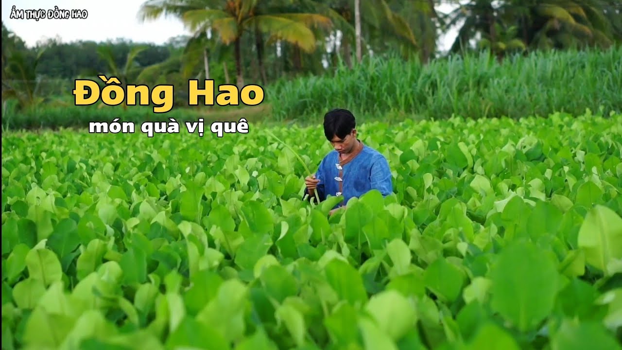 Kèo Nèo Món Quà Vị Quê | Vlog 8 | Đồng Hao