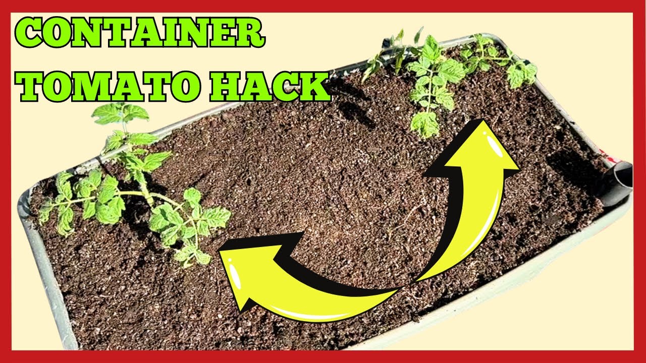 HOW TO REPLANT A CONTAINER GARDEN - HACKS & TRICKS  #earthbox  #wickingtubs  #containergardening