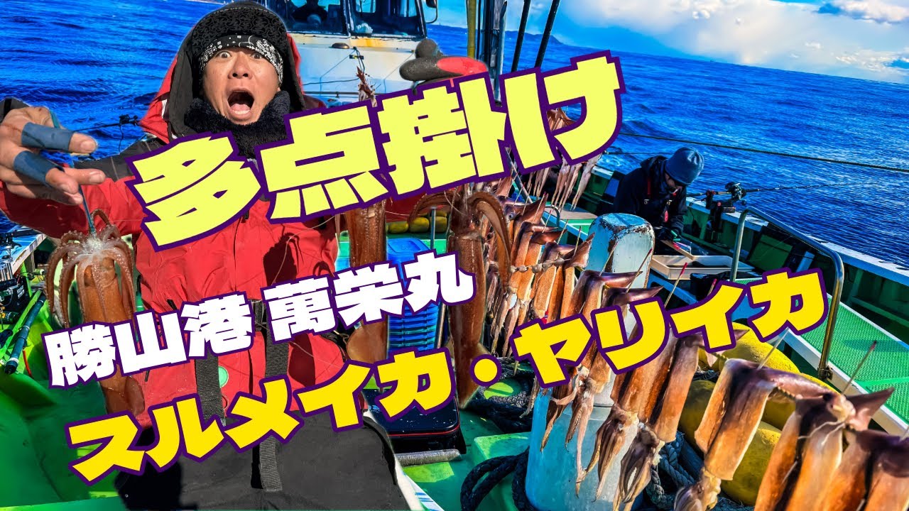 勝山港 萬栄丸 スルメイカ ヤリイカ＃121マルキユー的動画
