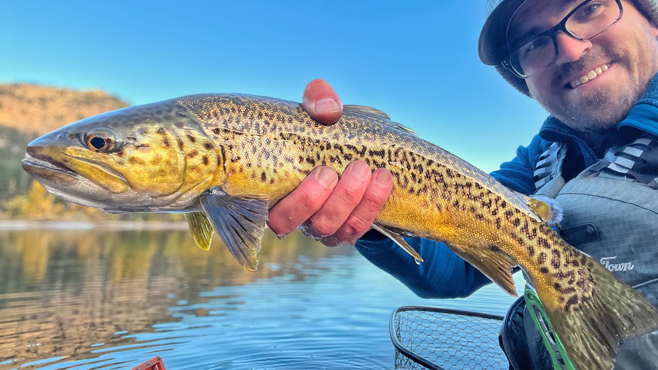 A Simple Rig for Big Fall Trout