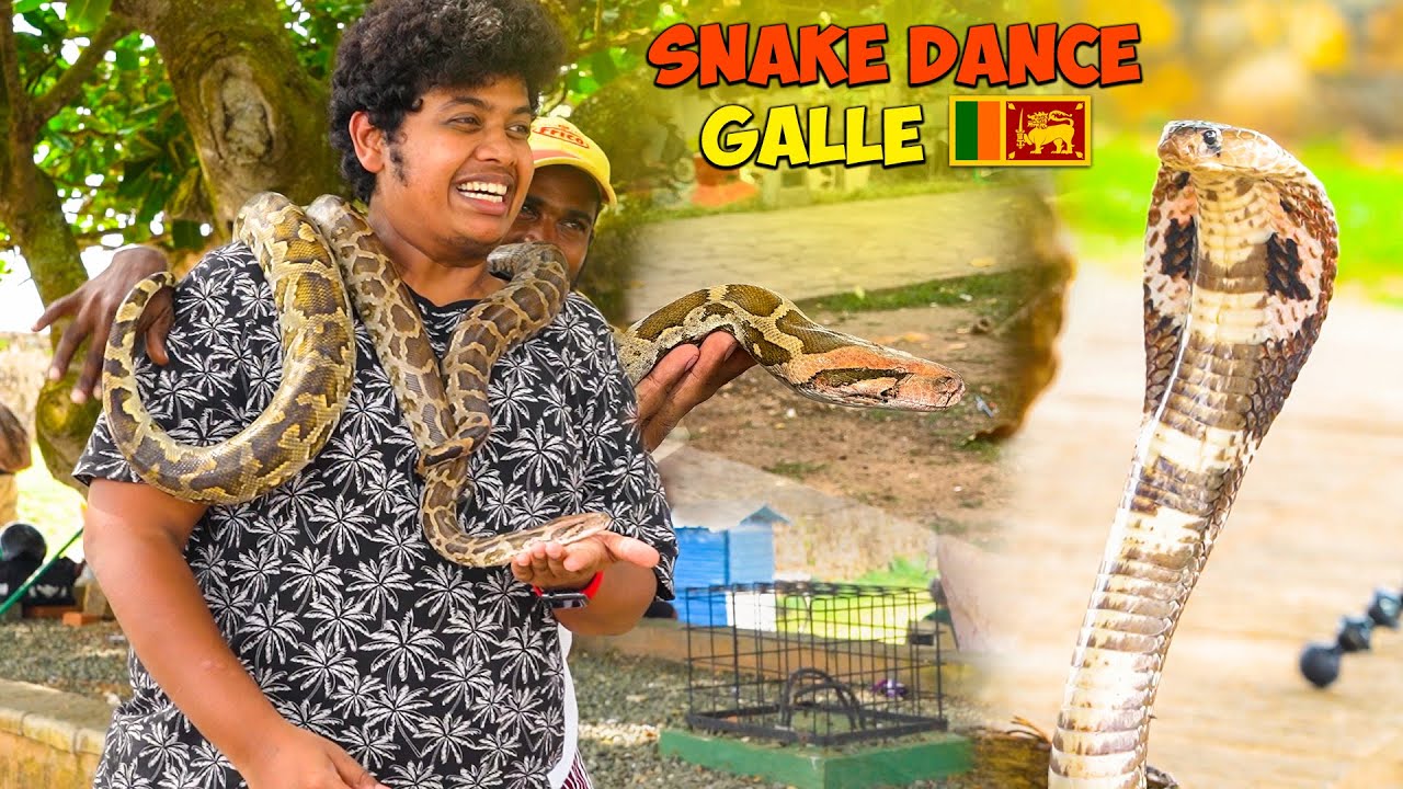Snake Time in Galle Beach - Irfan's View