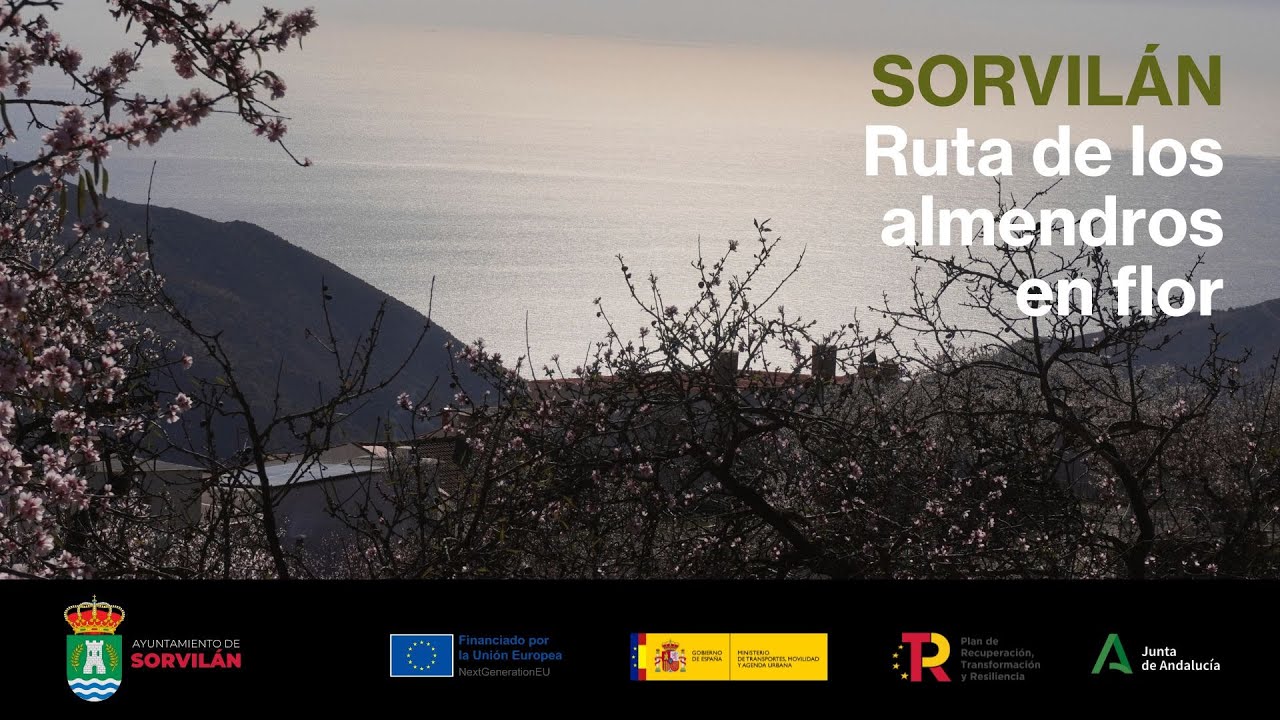 Sorvilán | Ruta de los almendros en flor