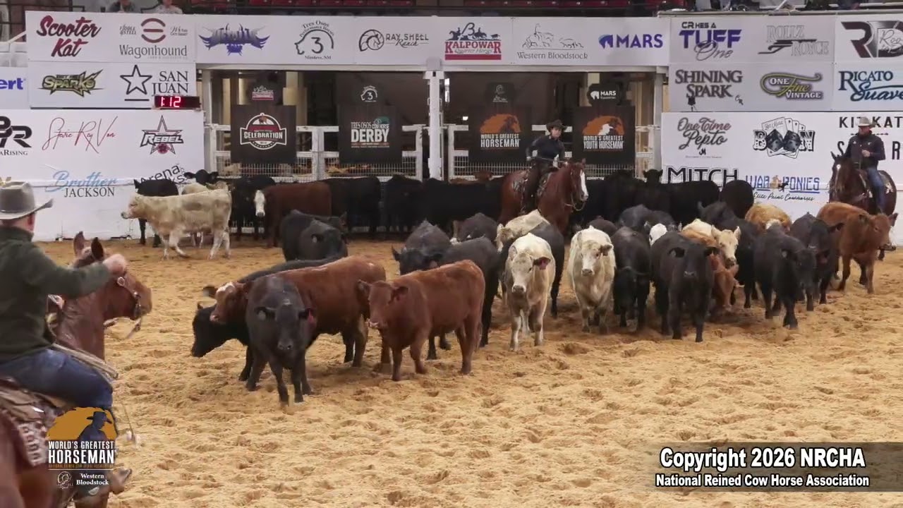 2026 World's Greatest Horseman® Herd Work Prelims High Score - Sarah Dawson & Smart Chic An Tari