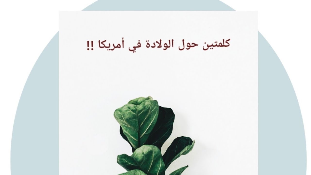 Give Birth in USA الولادة في أمريكا