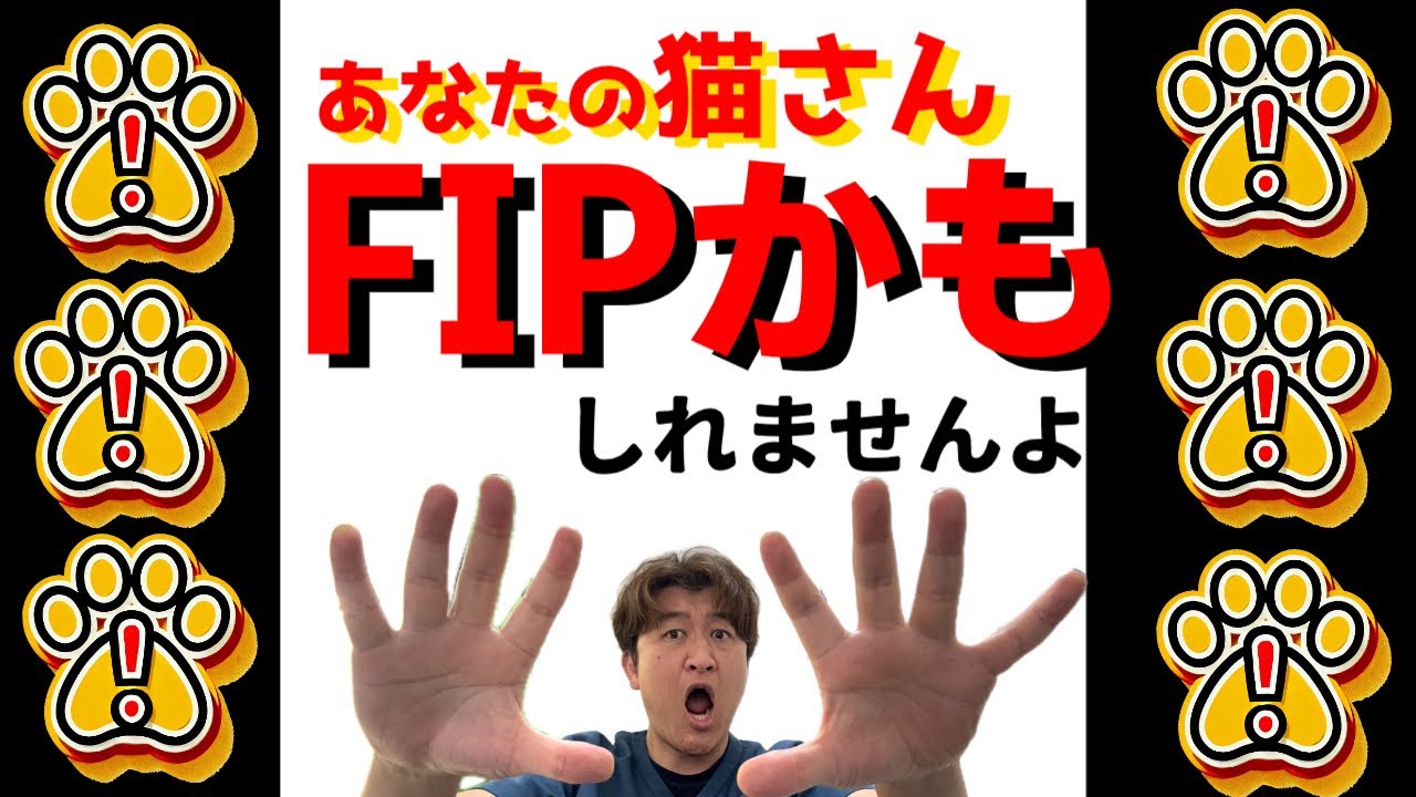 あなたの猫さん、FIPかもしれませんよ。FIPの診断＠猫伝染性腹膜炎（FIP）治療の実際 2024年⑩