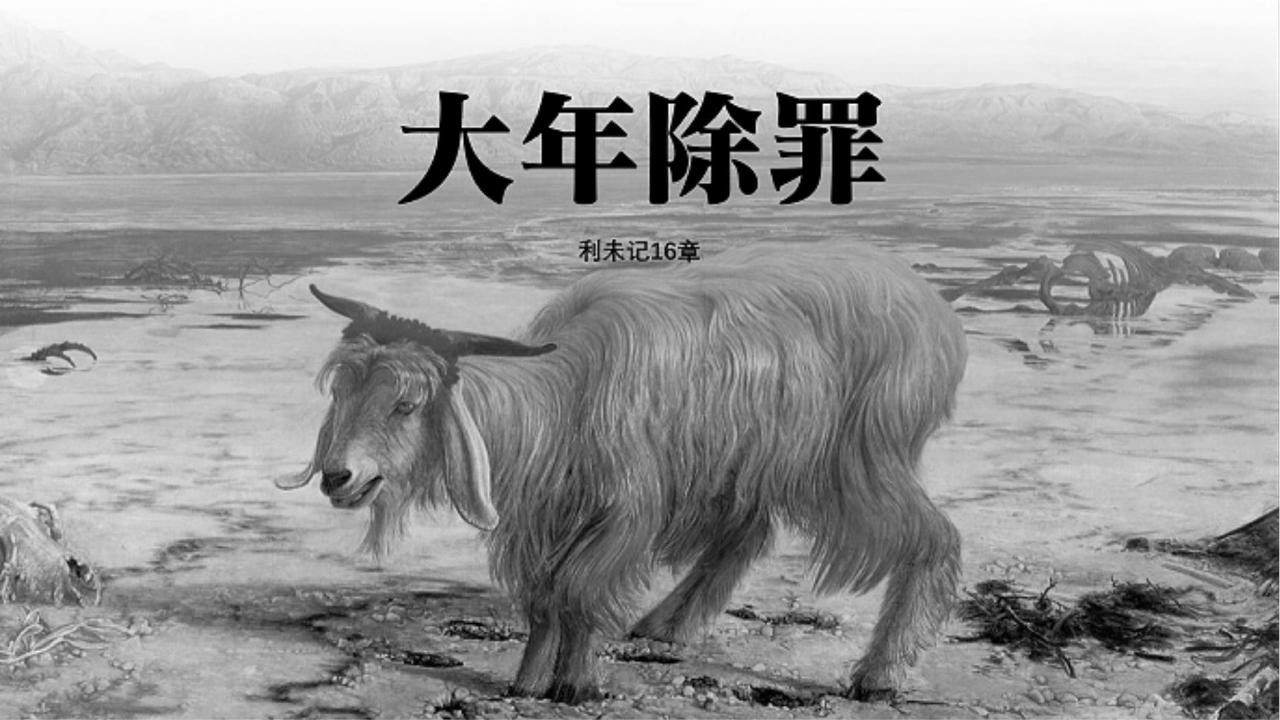 大年除罪