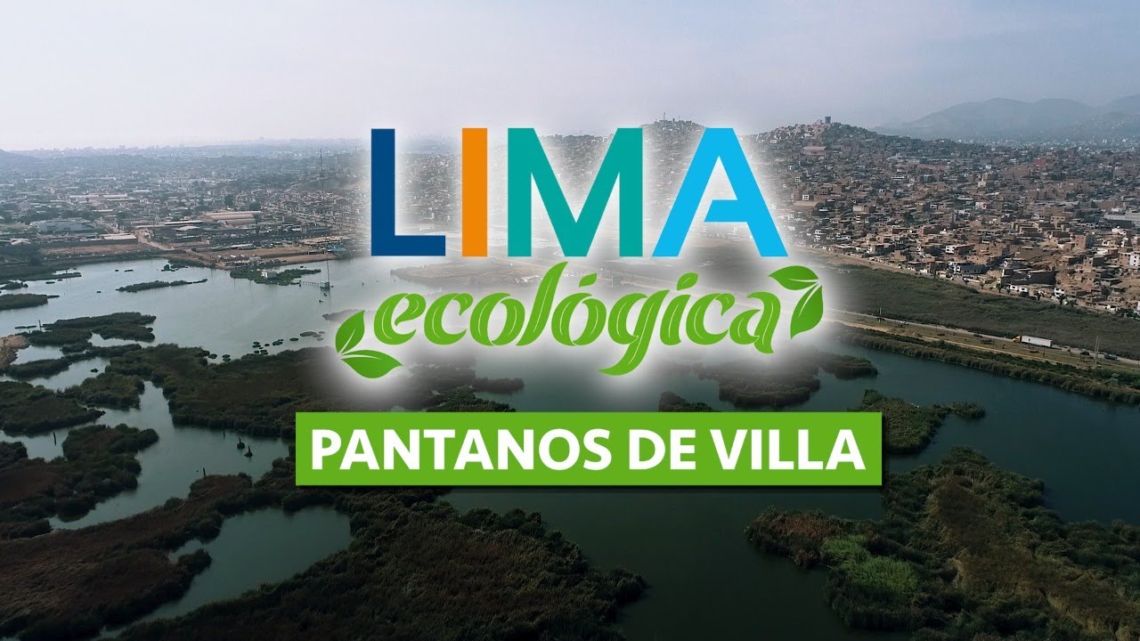 Lima Ecológica: Celebramos el aniversario de los Pantanos de Villa