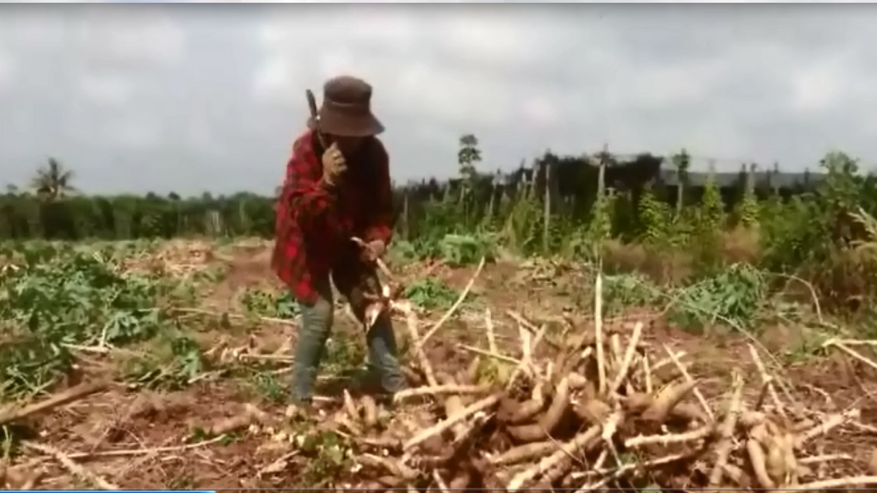 Farmer hacked SIM