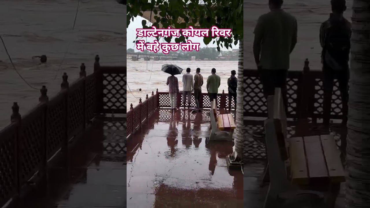 daltonganj flood #daltonganj #flood #flood #news #landslide #livenews #monsoon #viralvideo