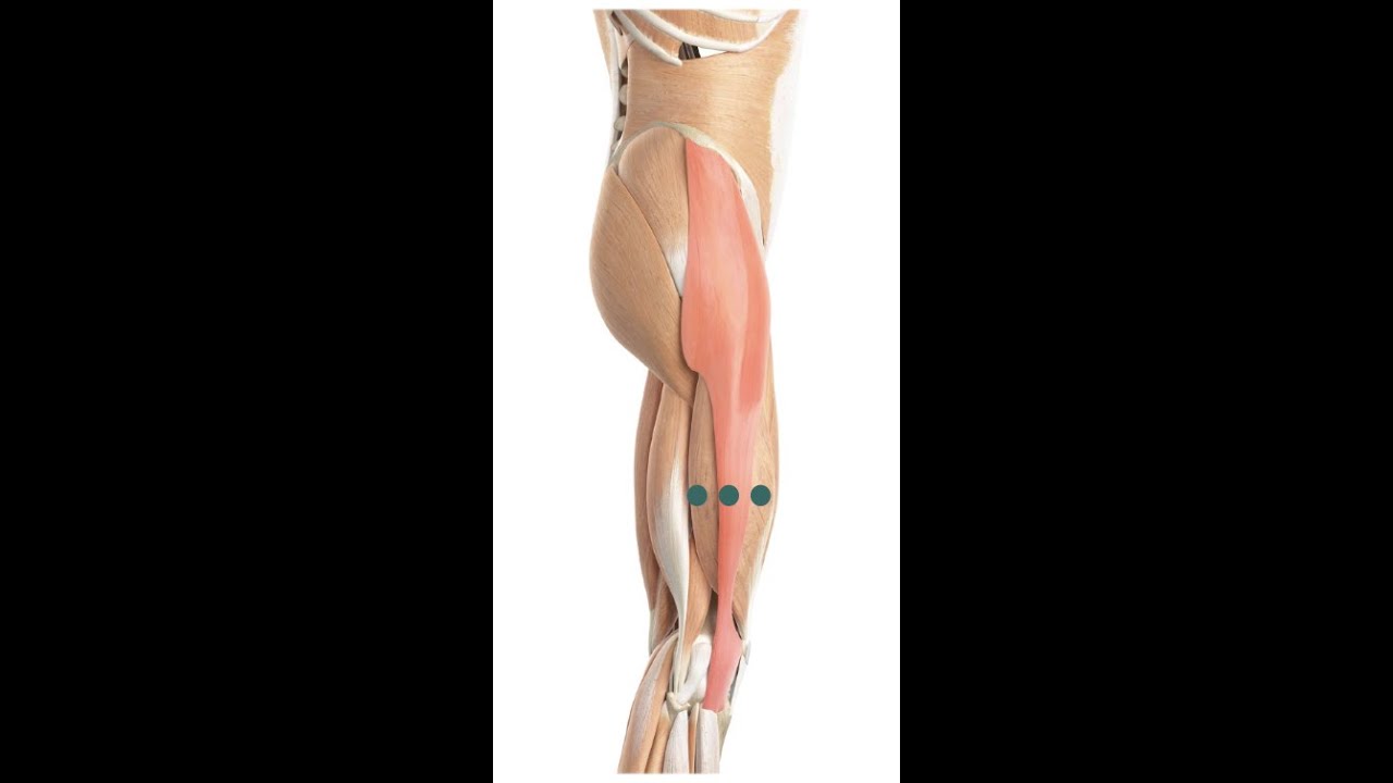 Master Tung's Acupuncture Points - 88.25 (GB 31), 88.26, 88.27