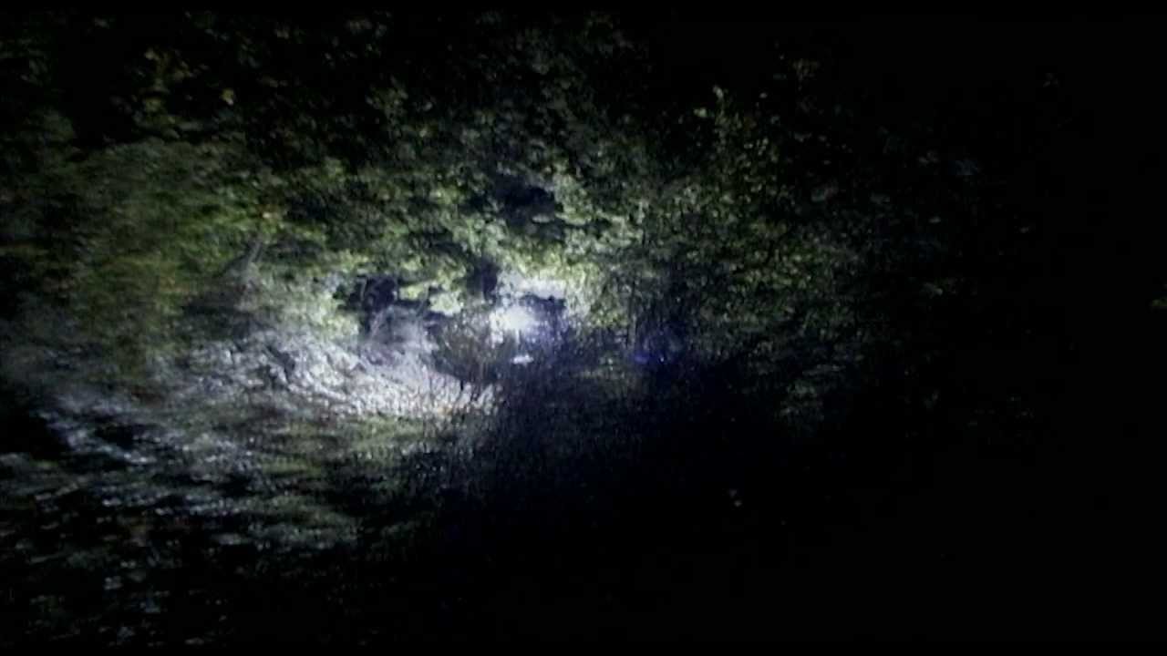 Plaid - E.M.R. (Official Video)