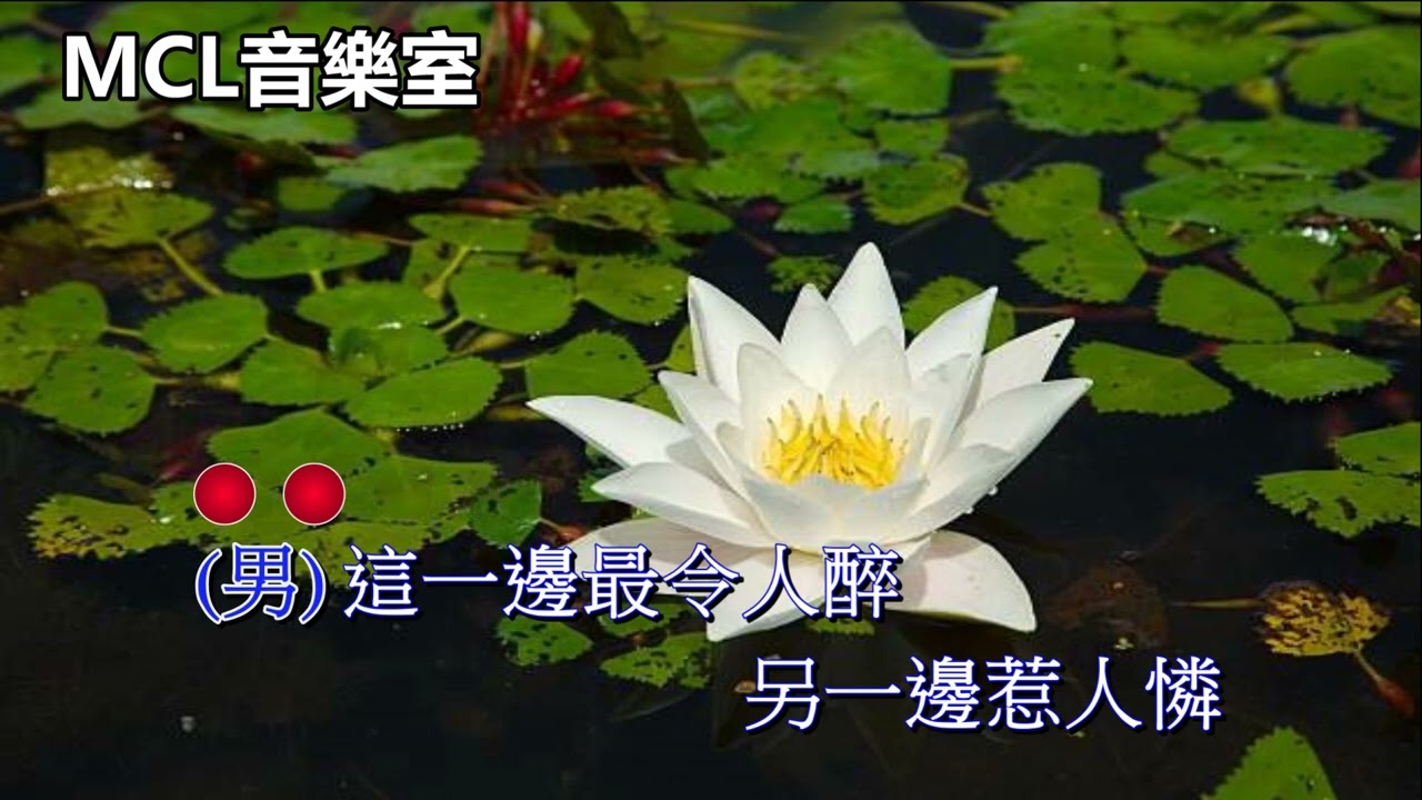 花開兩爭艷 陳浩德方伊琪 (伴唱) (TVB電視劇