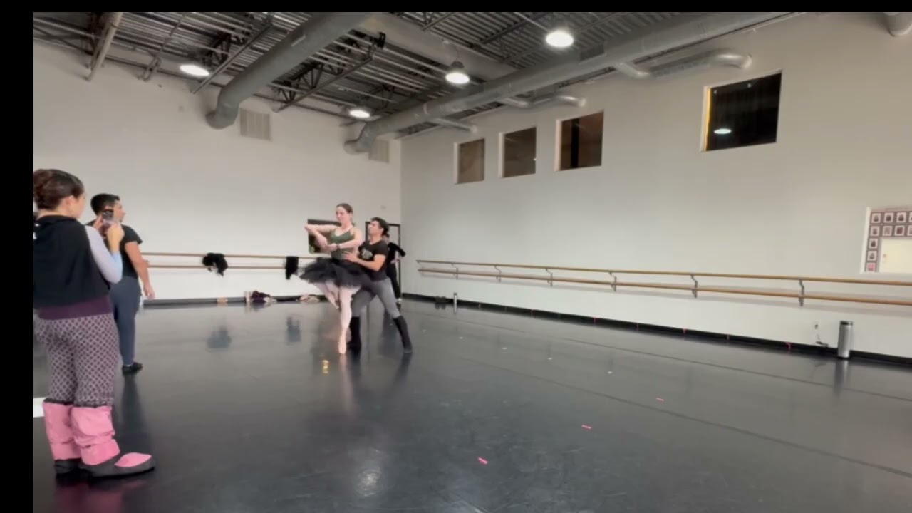 partnering