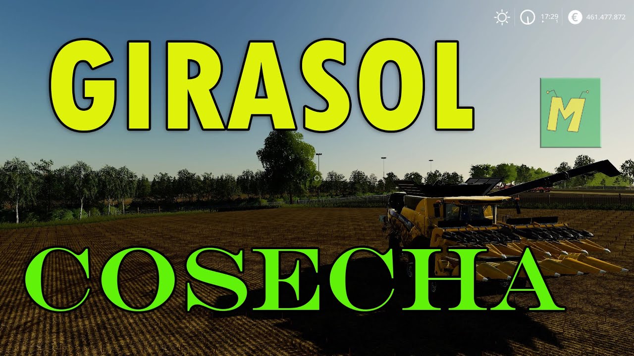 🌻Cómo COSECHAR GIRASOL en FARMING SIMULATOR 19🌻 | 2020 |