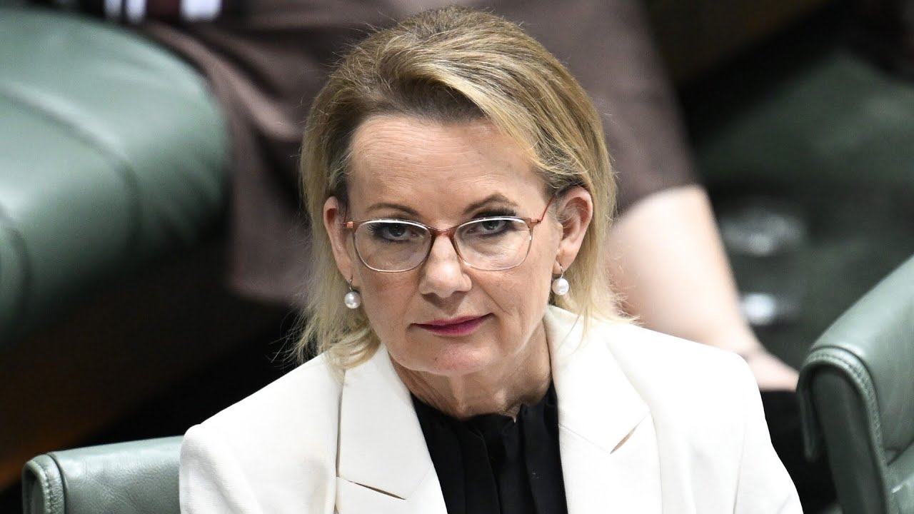 ‘Days are numbered’: Pressure mounts on Sussan Ley as Coalition falls apart