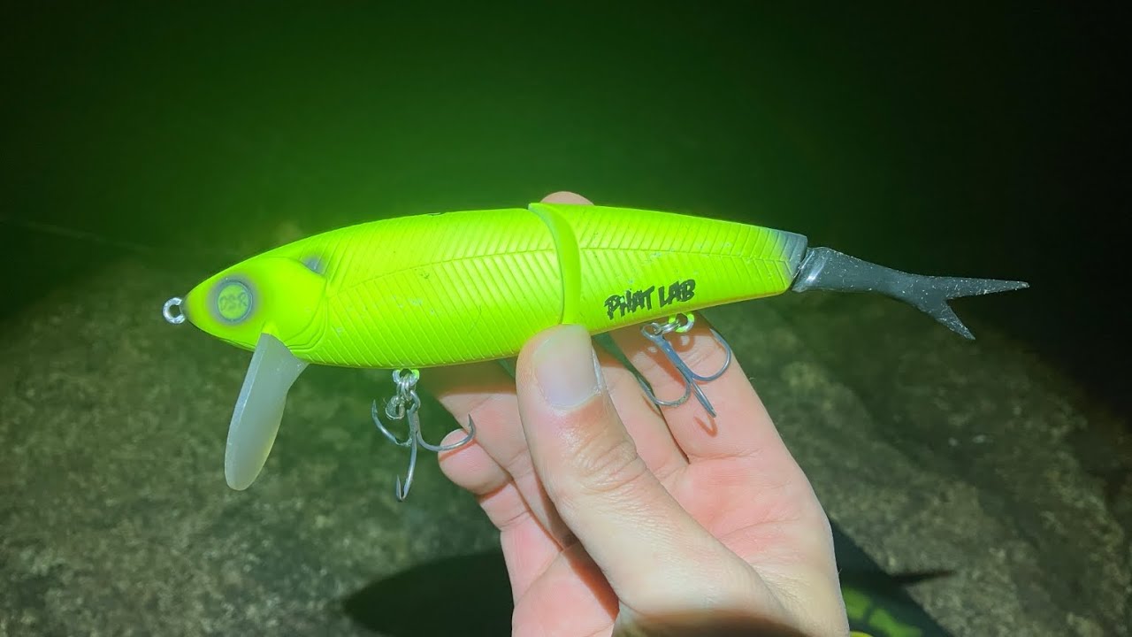 【57cm】ネコソギDSRのデッドスロー釣行。初心者でも簡単に使えて釣れる気がする【琵琶湖バス釣りライブ切り抜き】