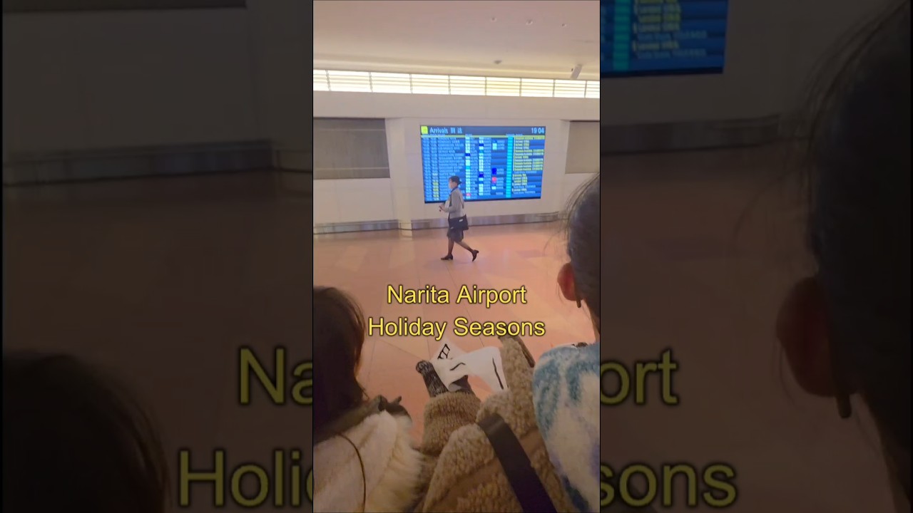 ✈️ HANEDA Airport in Holiday 🎄Tokyo