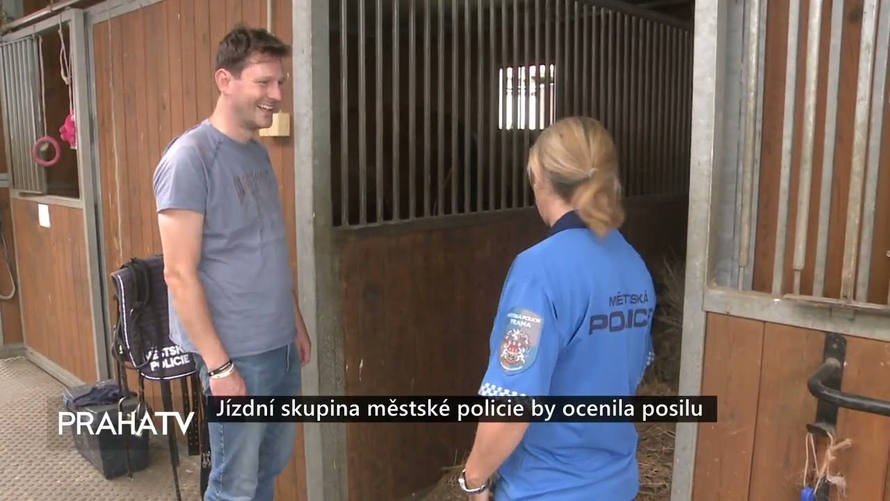 OB07364 Jízdní skupina městské policie by ocenila posilu hq