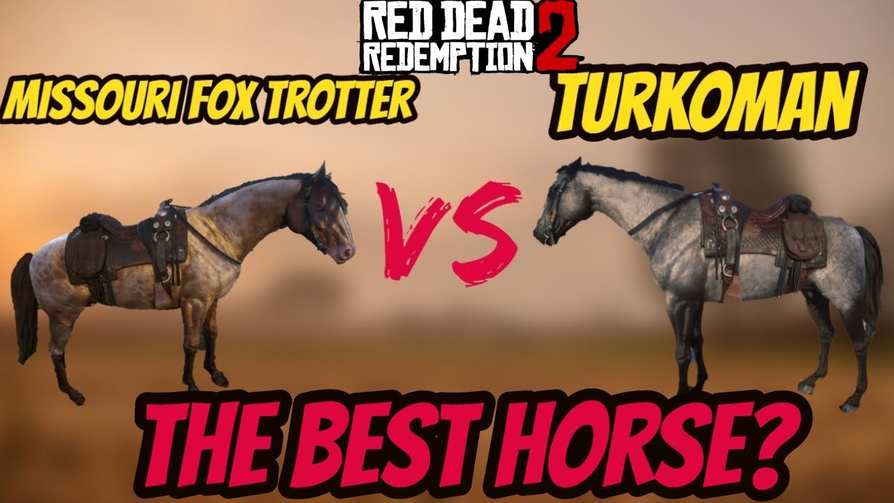 RDR 2 Turkoman VS Missouri Fox Trotter !  Battle Of The Best Horse!