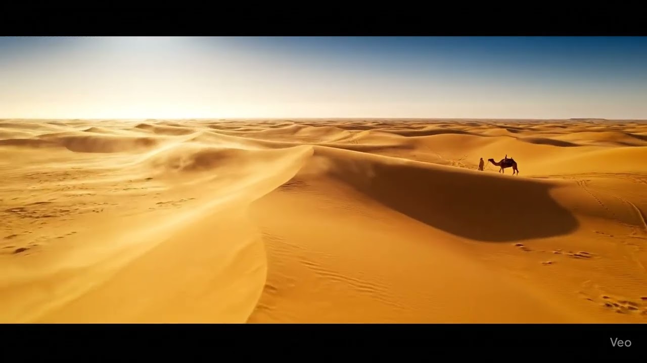 Endless Sands | 4K Cinematic Desert Landscape Scene (Free to Use)
