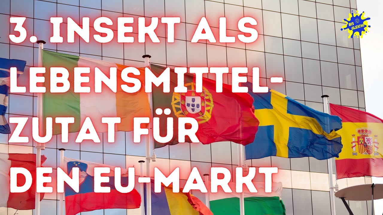 Hausgrille: Kommission l&auml;sst drittes Insekt als Lebensmittelzutat f&uuml;r den EU-Markt zu