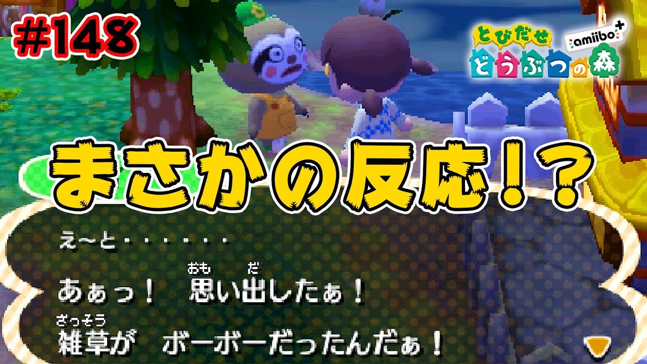レイジに話しかける前に雑草全部抜いたらどうなる？？#148【とびだせどうぶつの森 実況プレイ】