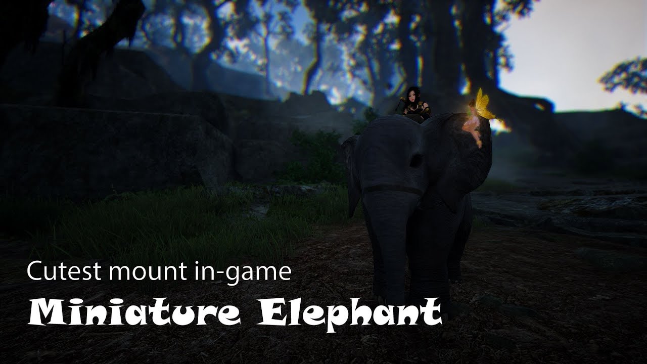 Getting cutest elephant alive | Commentary guide | BDO