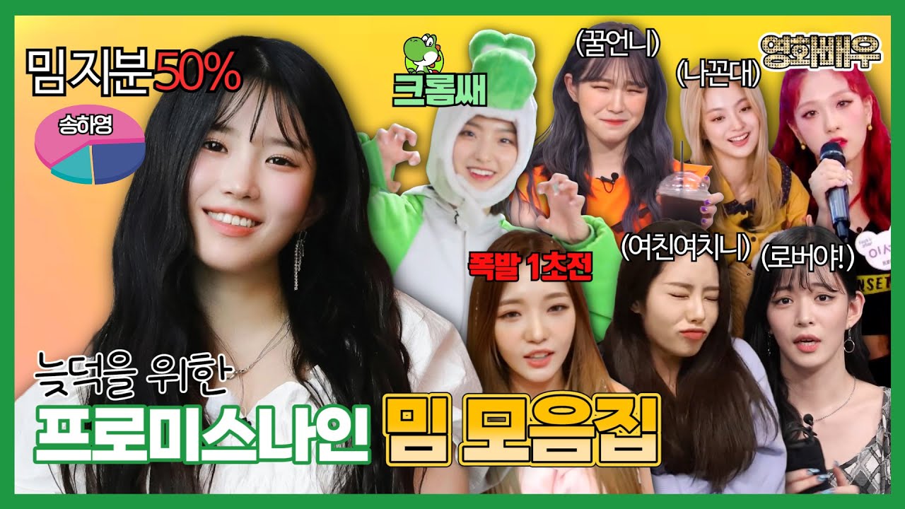 늦덕(뉴비)를 위한 프나 밈 모음집 (ENG SUB) [프로미스나인]