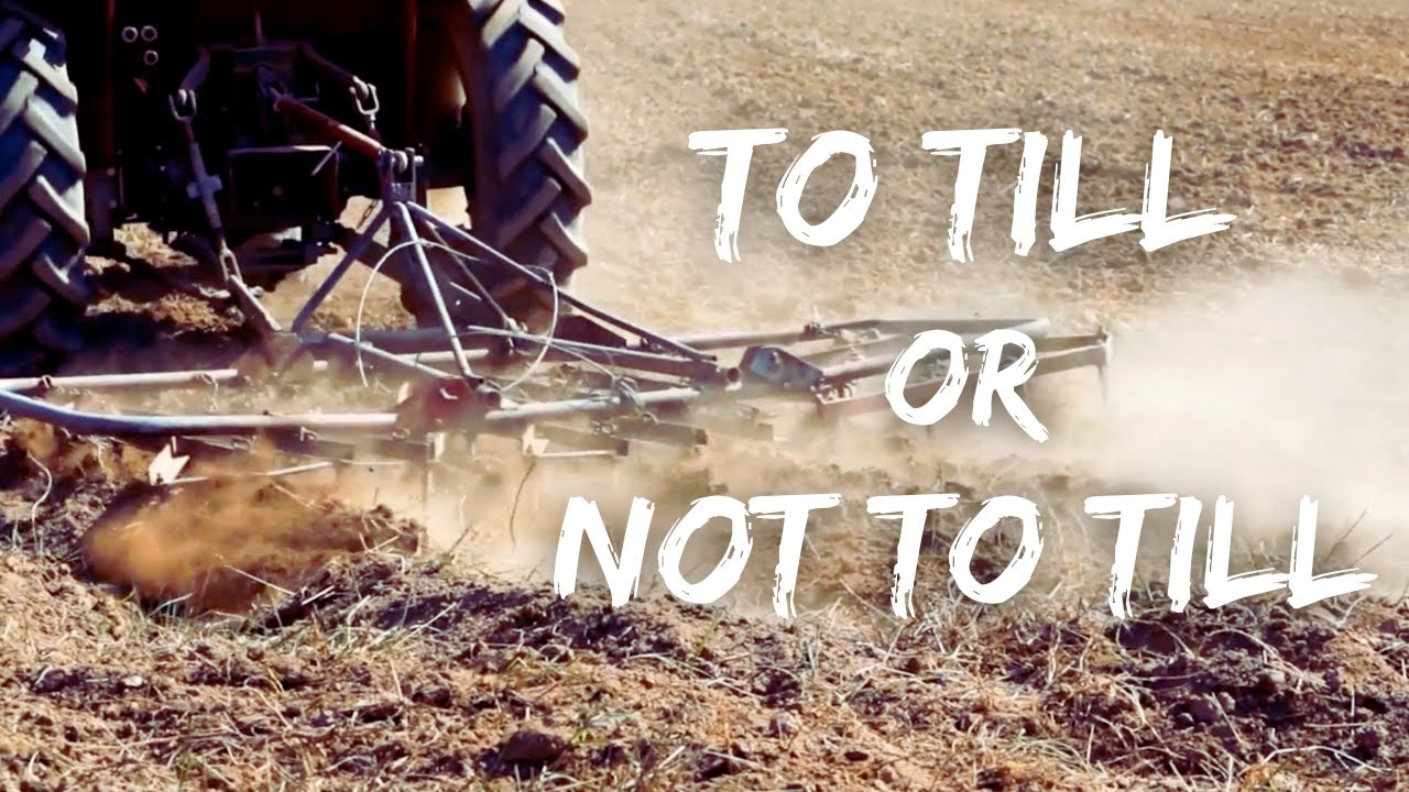 No-Till Farming: Why?