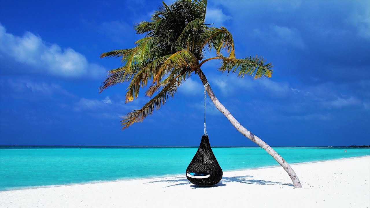 Sun & Surf - Relaxing at the Beach