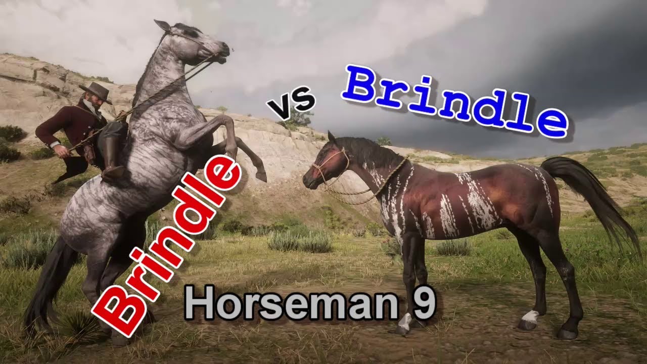 Horseman 9 : Brindle Arabian vs Brindle Thoroughbred : Red Dead Redemption 2