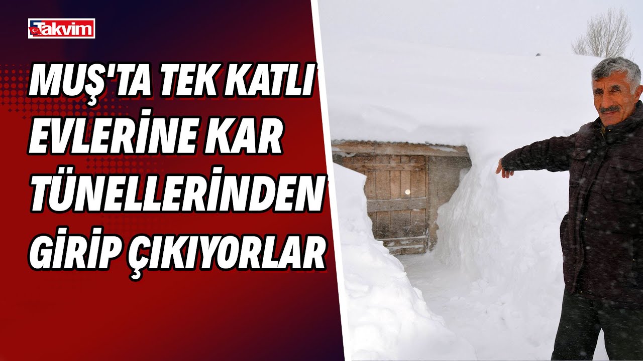 Muş'ta tek katlı evlerine kar tünellerinden girip çıkıyorlar