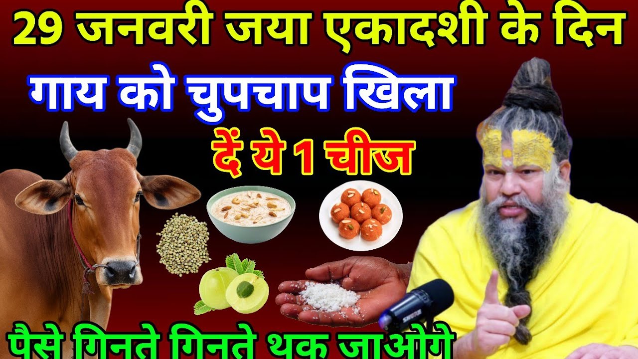 29 जनवरी जया एकादशी😱 के दिन गाय को चुपचाप खिला दें, यह एक चीज पैसे गिनती गिनती थक जाओगे...