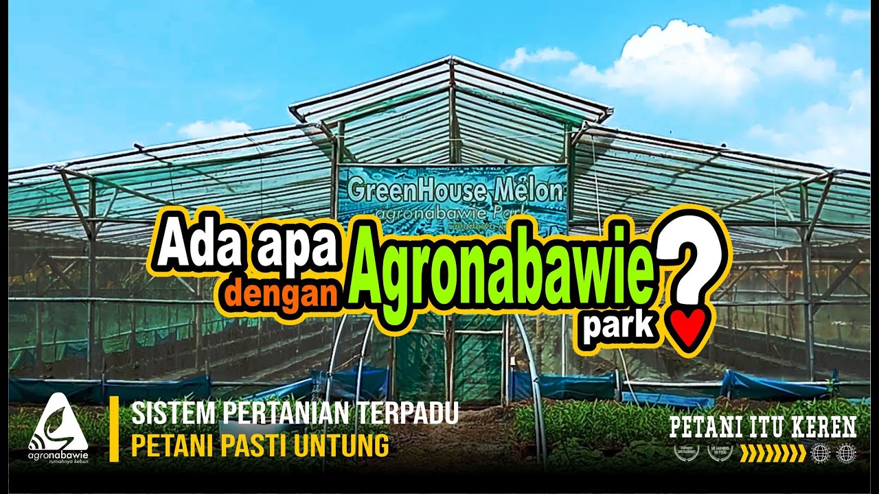 AGRONABAWIE PARK ~ MEMBANGUN PERTANIAN TERPADU DAN RANTAI PASOK BERKELANJUTAN