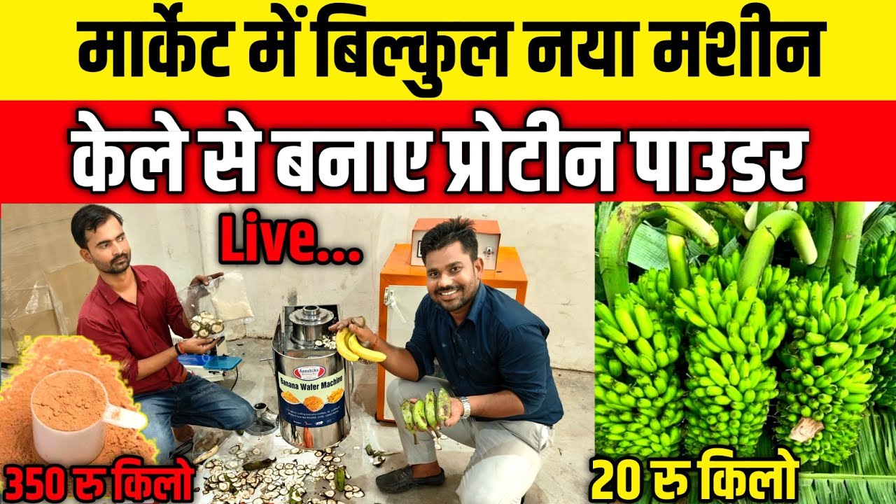 केला से बनाए प्रोटीन पाउडर| Banana Protein Powder Making Process| Banana Chips Making Business|