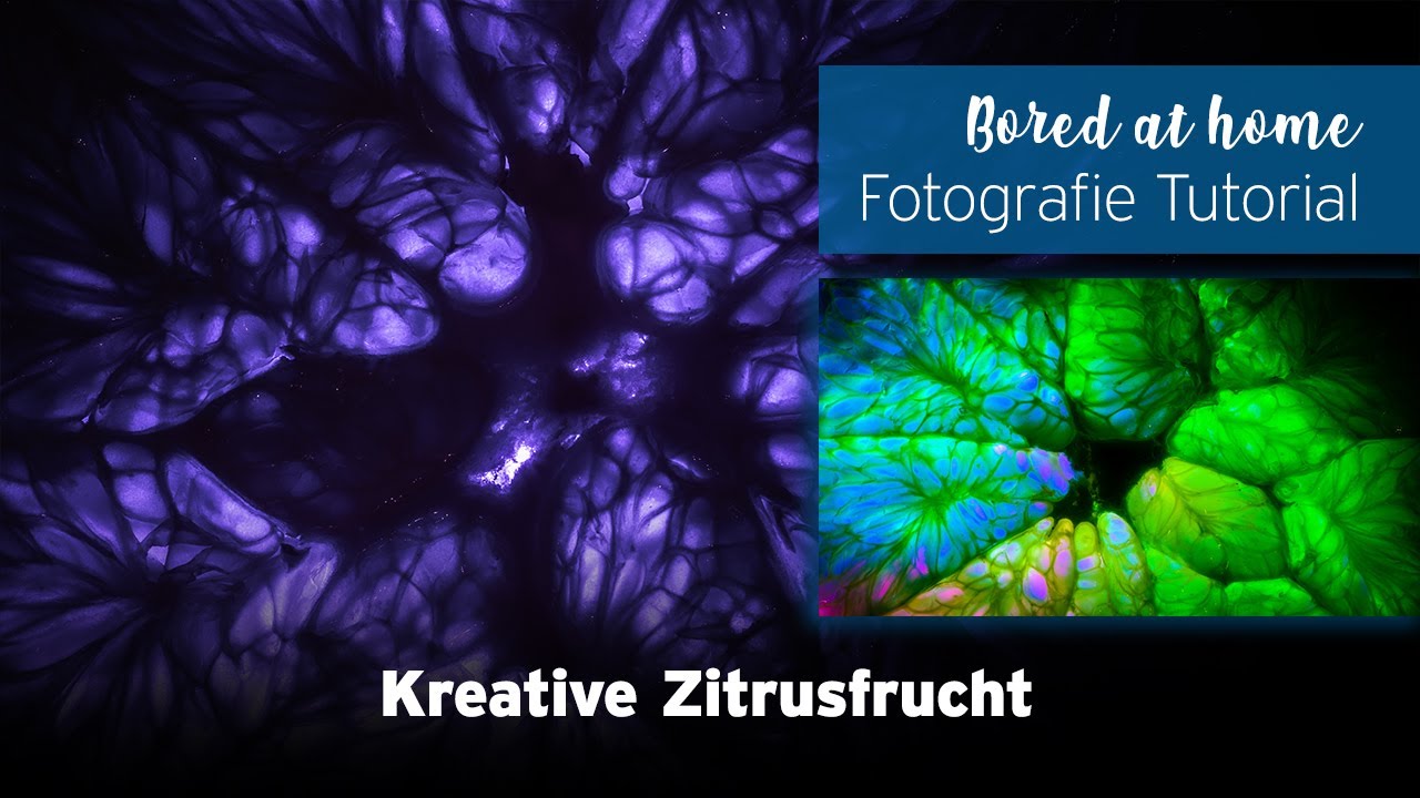 #32 Fotografie Tutorial - Kreative Zitrusfrucht