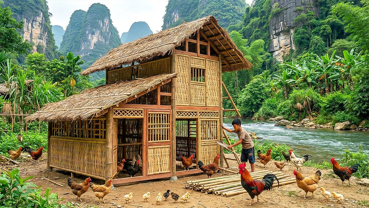Country Life: Orphan Boy Building a White Chicken Coop to Protect Poultry After Attacks