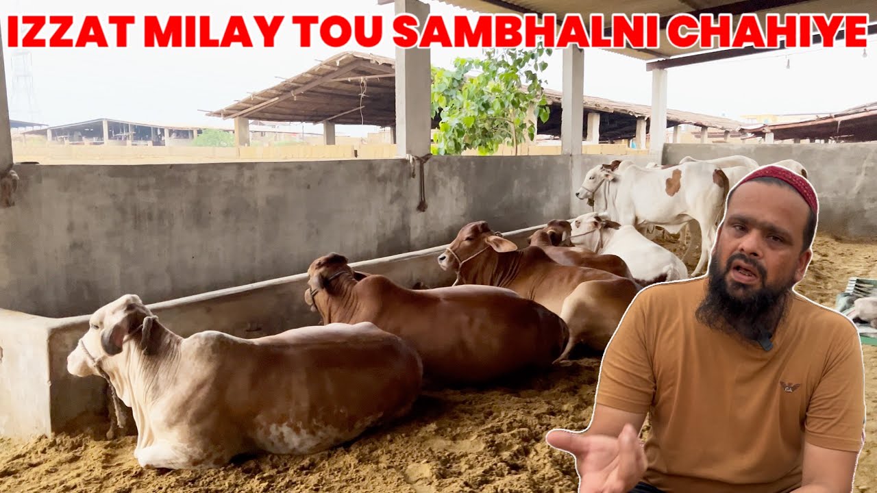 Allah Pak Jab Izzat Deta Hai Tou Usko Sambhalna Parhta Hai || Ab Se Mai Sab Kuch Bataunga 