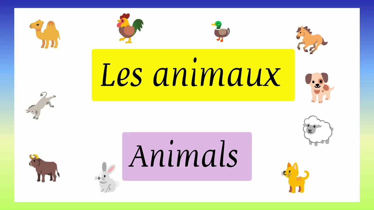 Animals(1) in french 