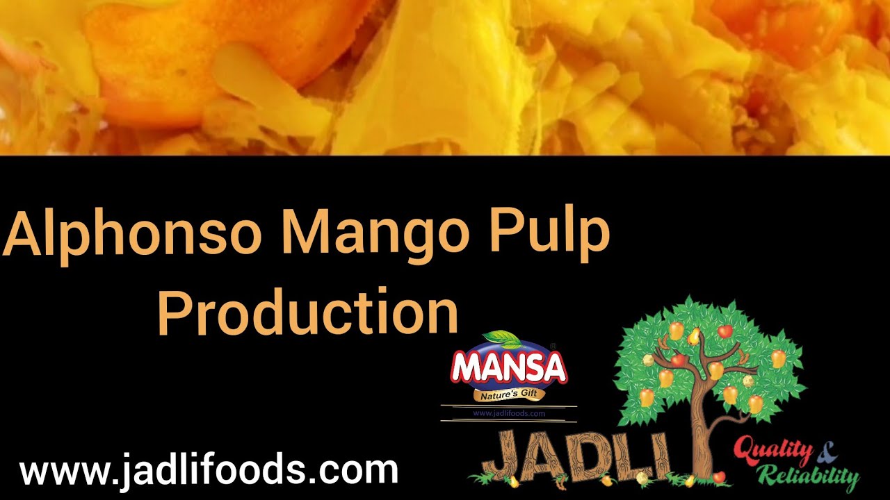 Alphonso  Mango Puree Production #AlphonsoMango #Mango   #AlphonsoMangoPulp #AlphonsoMangoPuree