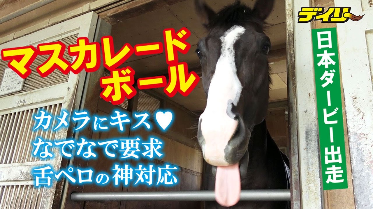 【天皇賞・秋でＧⅠ初制覇】マスカレードボール　なでなで待ちのキュートな素顔をお届け！担当の花本助手「取材に慣れてきている(笑)」