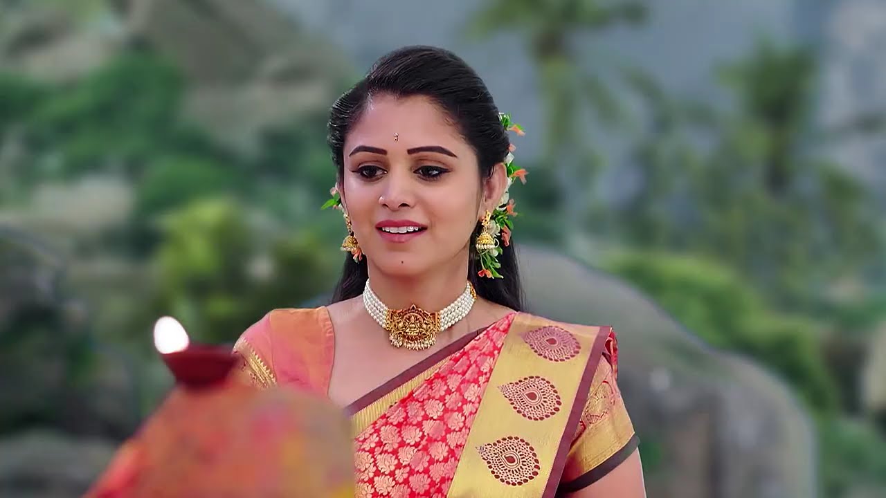 Naag Bhairavi - Full Ep - 86 - Nagarjuna, Bhairavi, Nagulu - And TV