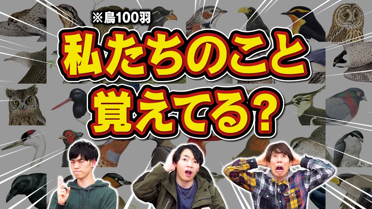 クイズ王なら友達が鳥に変えられても100羽覚えられる説