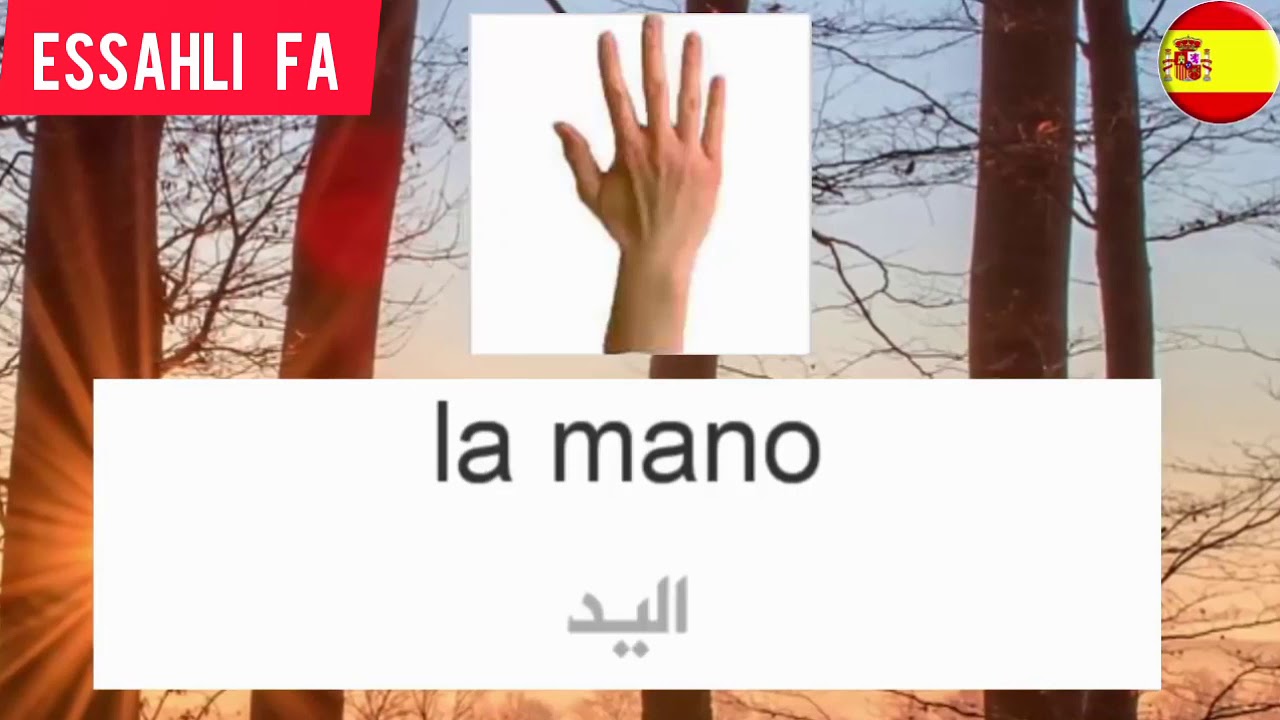 اسماء أعضاء  جسم الإنسان باللغة  الاسبانية #aprenderespañol #تعلم_اللغة_الإسبانية