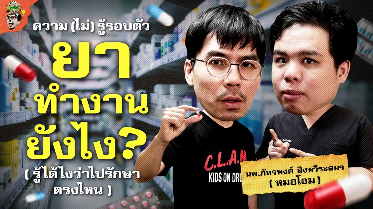 ยาทำงานยังไง? ทุกข้อสงสัยเกี่ยวกับการกินยา | ความ(ไม่)รู้รอบตัว