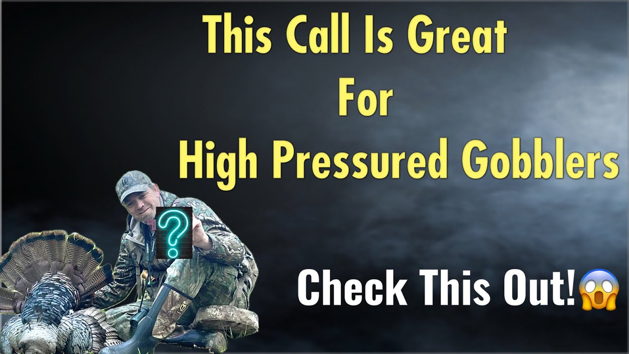 Это отличный зов для хищных птиц, испытывающих сильное давление.