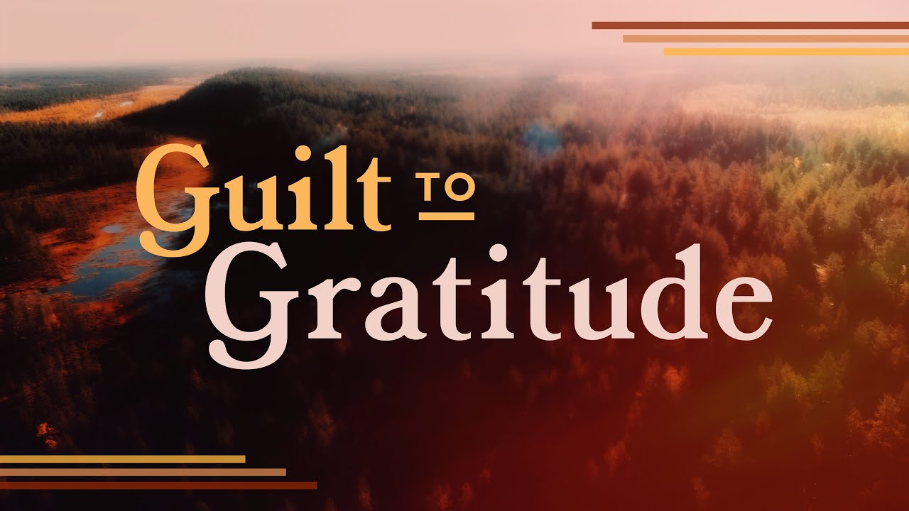 Guilt to Gratitude | 11/21